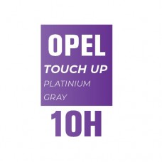 10H / D69 - PLATINUM GREY