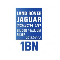 1BN – SILICON