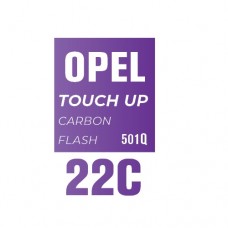 22C/501Q - CARBON FLASH