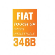 348B - INTELETTUALE GRIGIO