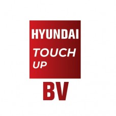 BV - VIVID BLUE