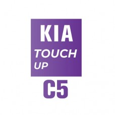 C5 - DIAMOND SILVER