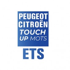 ETS/MOTS - GRIS CENDRE