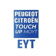 EYT/MOYT - GRIS ORAGEUX