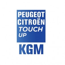 KGM - SUROIT EFFECT