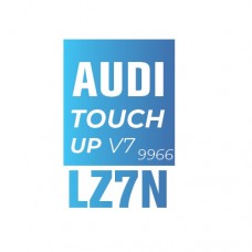 LZ7N/V7/9966 - GRAY METALIC